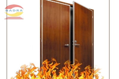 Mẫu cửa thép vân gỗ 2 cánh: An toàn, sang trọng cho nhà cao ốc