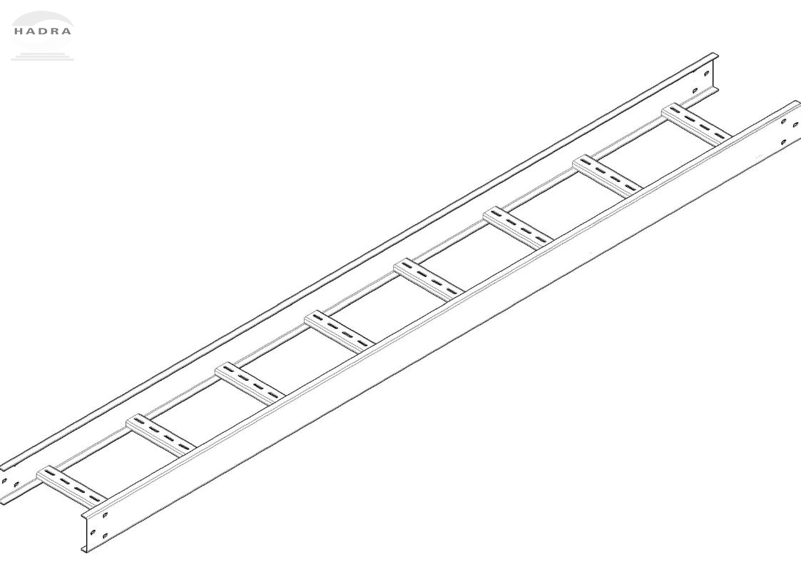 Thang Cáp Điện 300x100: Tính Năng Vượt Trội Trong Các Công Trình Lớn Và Phức Tạp